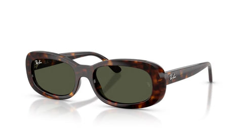 Occhiale da Sole Ray-Ban 2221 902/31