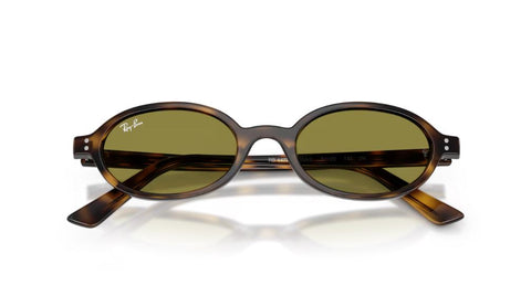 Occhiale da Sole Ray-Ban 4472 1359/2