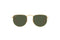 Occhiale da Sole Ray-Ban 3958 Elon 9196/31